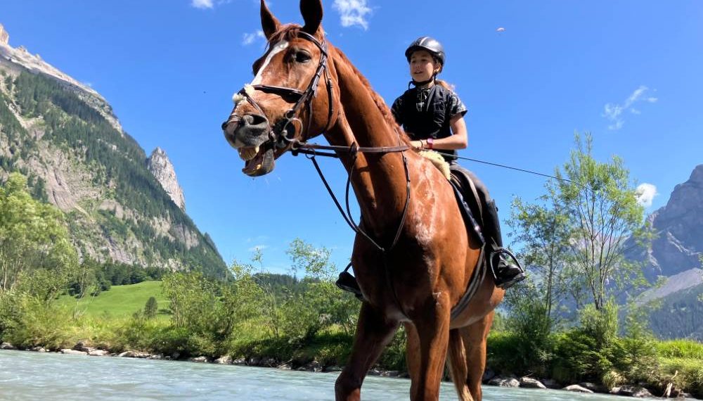 pferde-im-wasser-reitstunde-mit-maedchen-wittwer-reitstall pferde-im-wasser-reitstunde-mit-maedchen-wittwer-reitstall