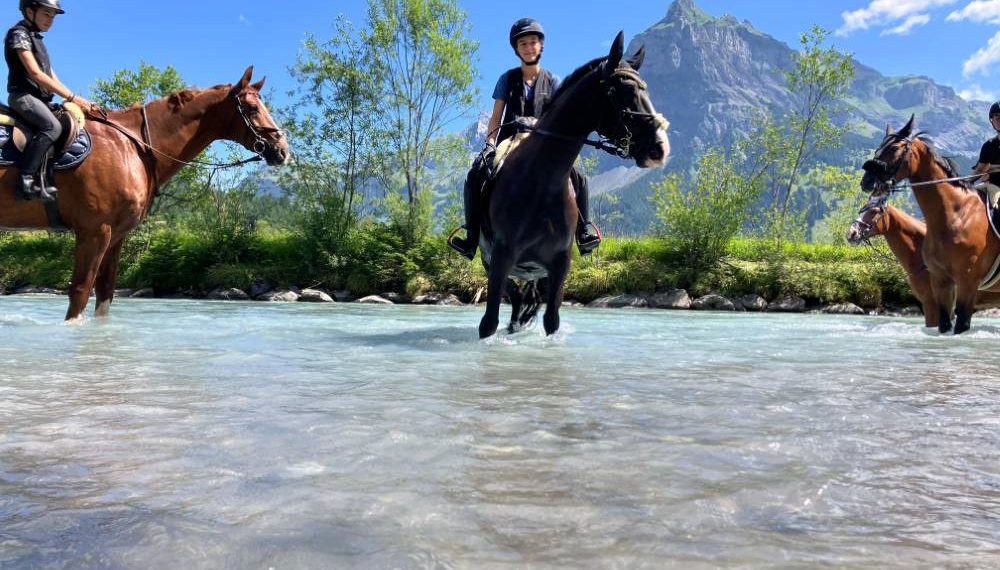 pferden-in-sommer-auf-dem-wasser-2025-reitstall-wittwer pferden-in-sommer-auf-dem-wasser-2025-reitstall-wittwer